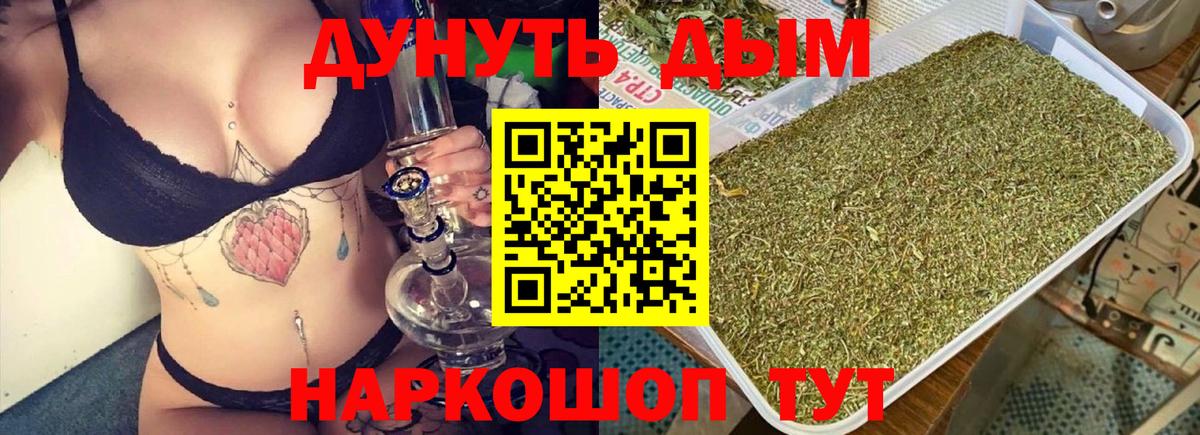МАРИХУАНА конопля Саров